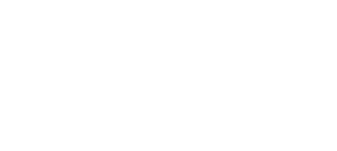 Raid Logo